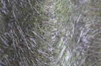 Kings Park fibreglass roof work